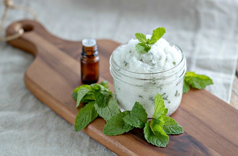 La polvere di stevia ha un sapore leggermente amaro polvere di stevia a basso contenuto di carboidrati