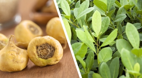 Superfood Maca capsule di maca integratore alimentare sano