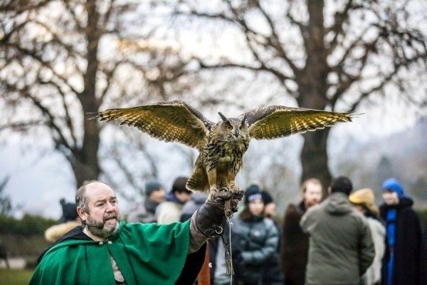 Középkori karácsonyi vásár Esslingen falkner és uhu Látogasson el a középkori karácsonyi vásárra Esslingenben, és ismerje meg a történelmet testközelből, solymászok és baglyok