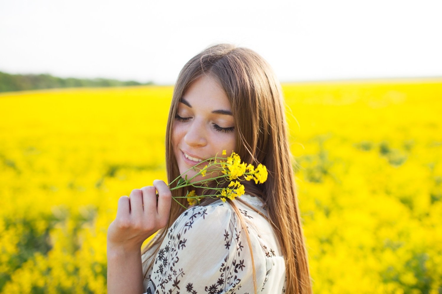 Bellezza naturale dal campo e dalla foresta