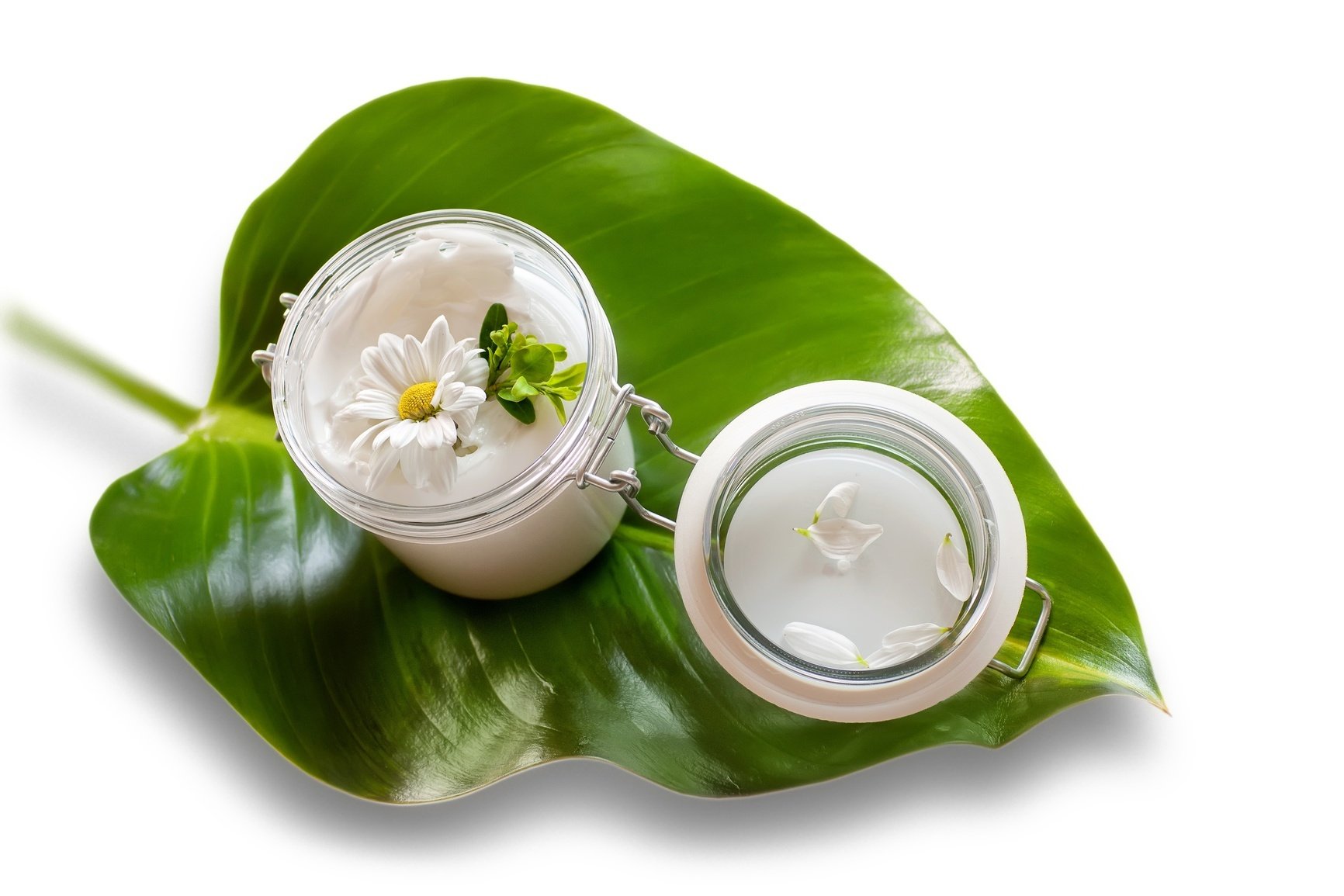 La crema per il viso si può fare anche in casa