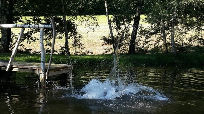 Természetes medence