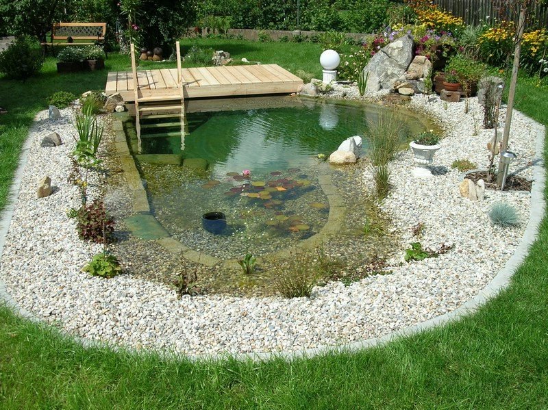 Természetes medence