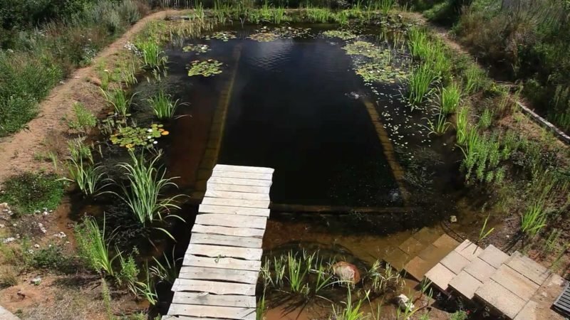 Természetes medence