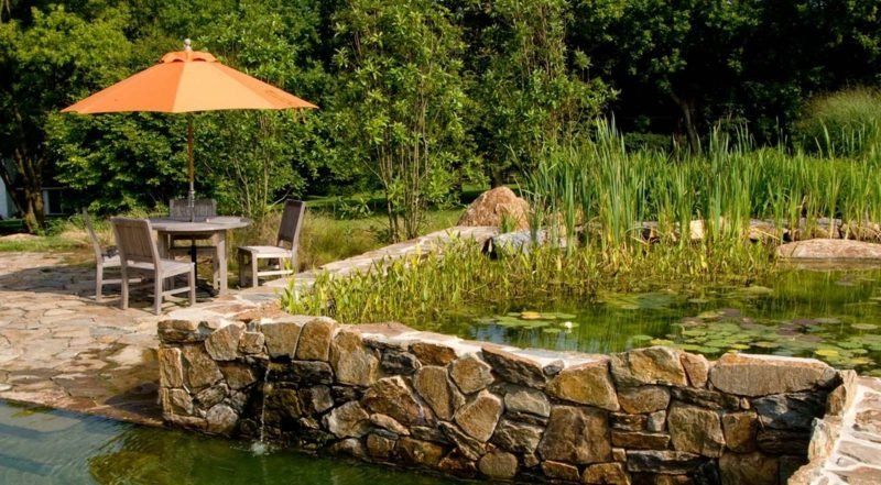 Természetes medence