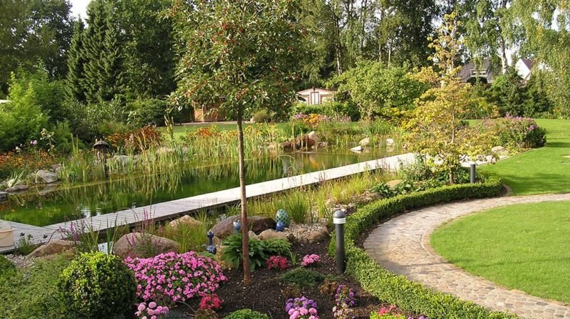 Természetes medence