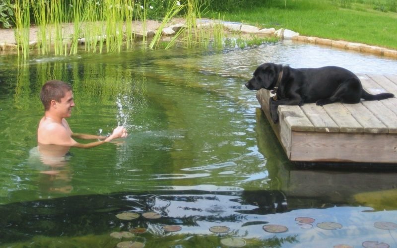 Természetes medence