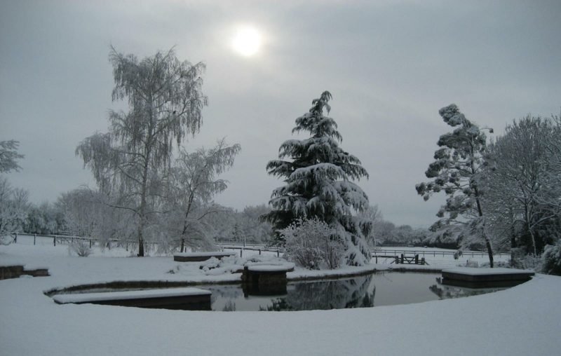 Természetes medence