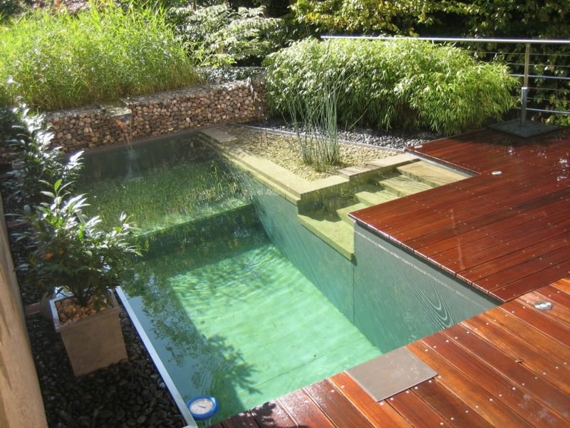 Természetes medence