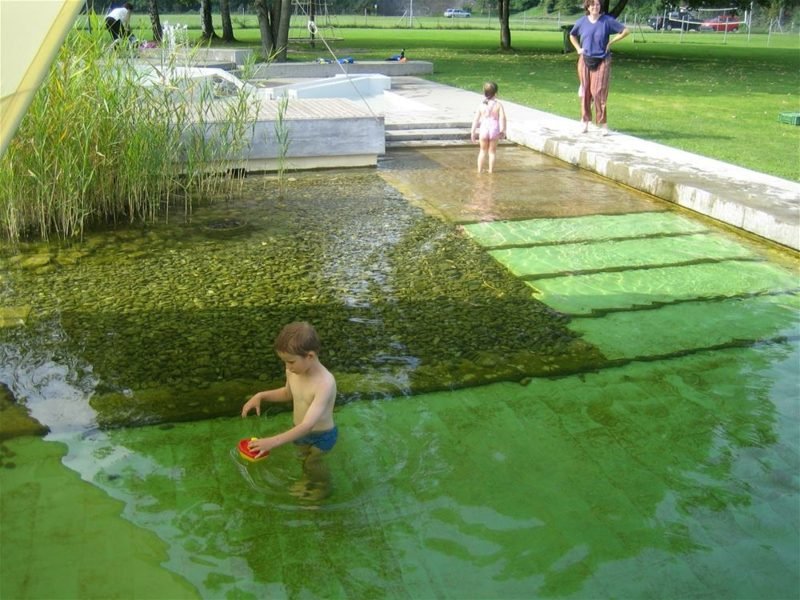 Természetes medence