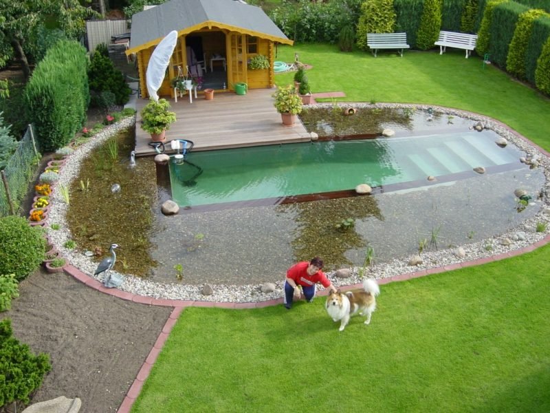 Természetes medence