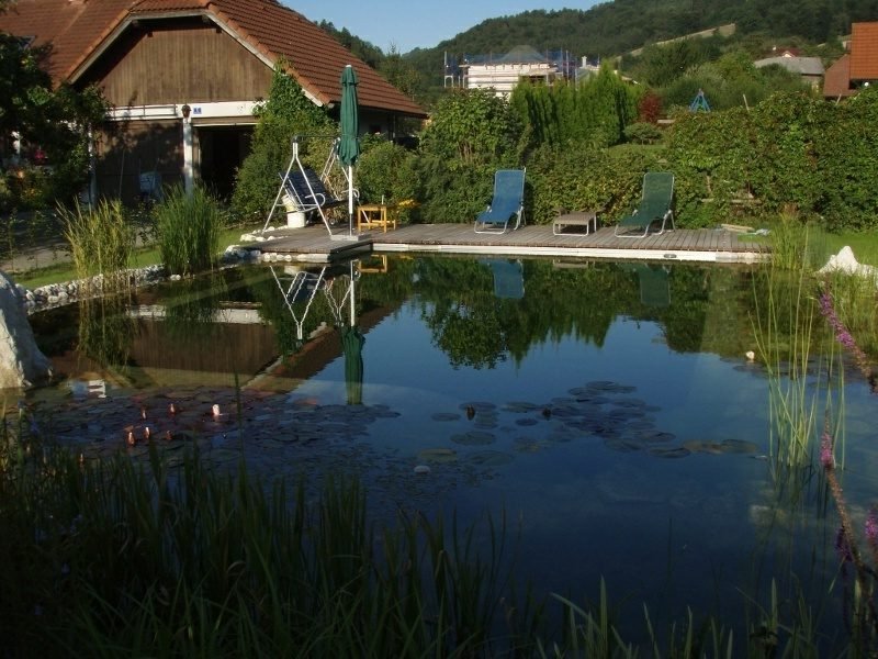 Természetes medence