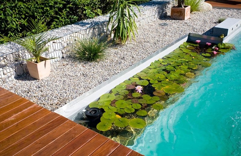 Természetes medence