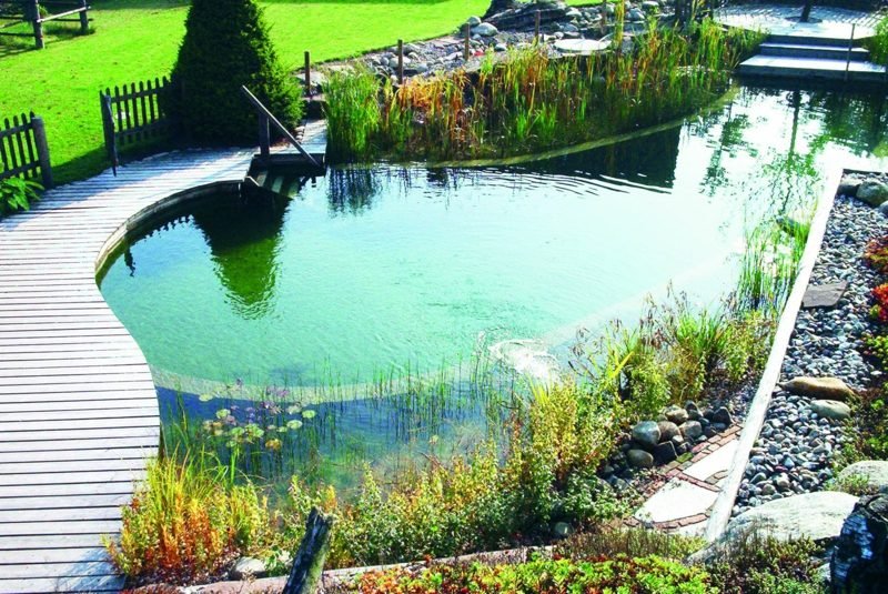 Természetes medence