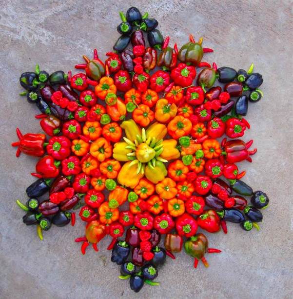 L'art du mandala végétal L'art du mandala végétal