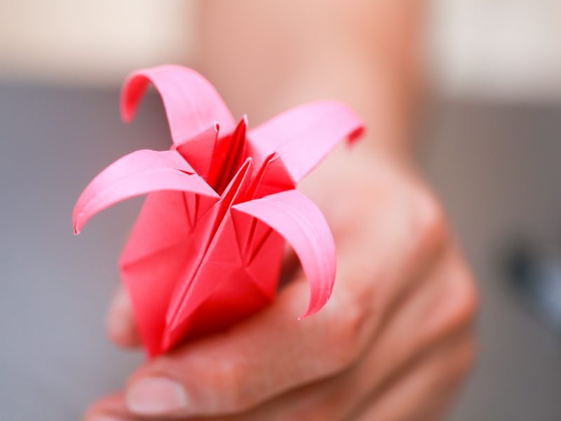 Upute za origami ružu Ruka mala upute za origami ružu