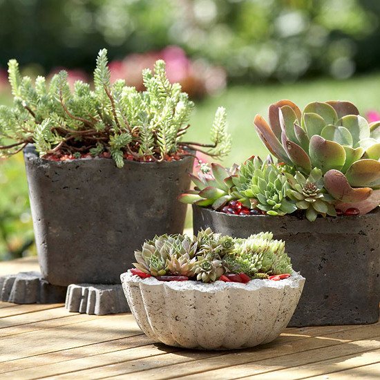 Crea tu stesso ciotole di cemento design del giardino decorazione del giardino oggetti da giardino in cemento decorazione del giardino design del giardino