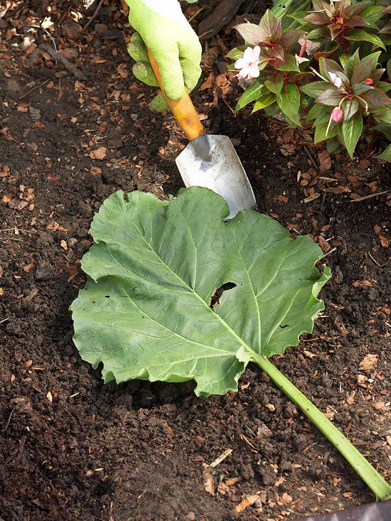 Passo 1 design del giardino decorazione del giardino oggetti da giardino in cemento decorazione del giardino design del giardino