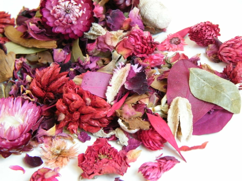 Prepara tu stesso il pot-pourri con ingredienti naturali Crea fragranze per ambienti con i fiori secchi