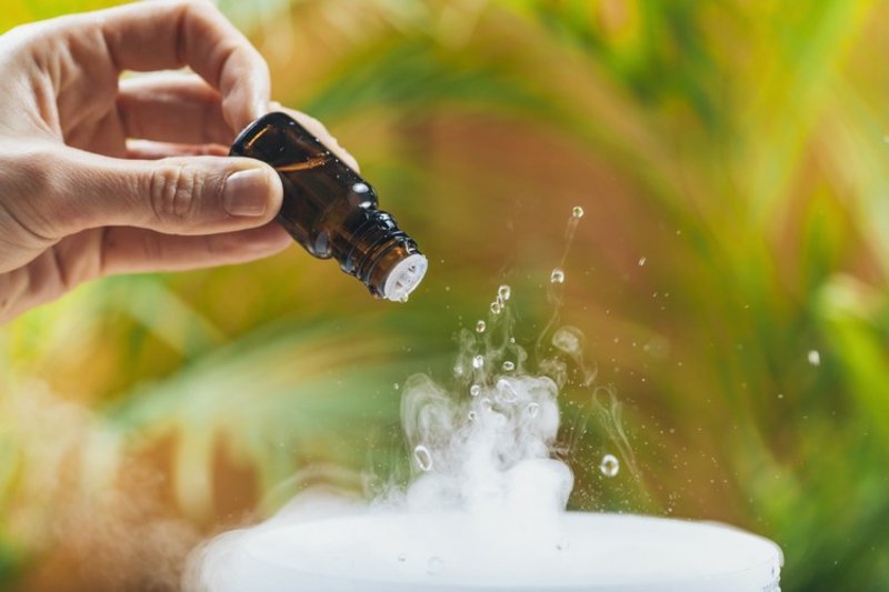 Mješavine za difuzore sami napravite savjete