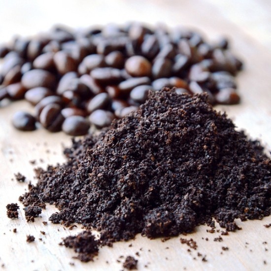 A kávézaccot helyesen és sokféleképpen használja műtrágyaként a kertben