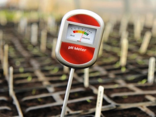 Helyesen és változatosan használjon kávézaccot műtrágyaként a kertben. Rendszeresen ellenőrizze a talajt