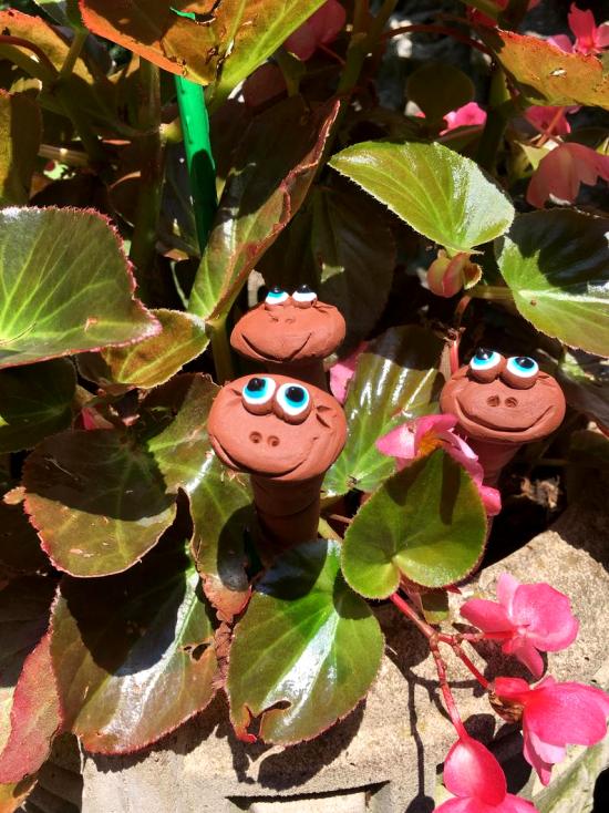 A kávézaccot helyesen és sokféleképpen használja, mivel a kerti férgek műtrágyája jót tesz a kertnek