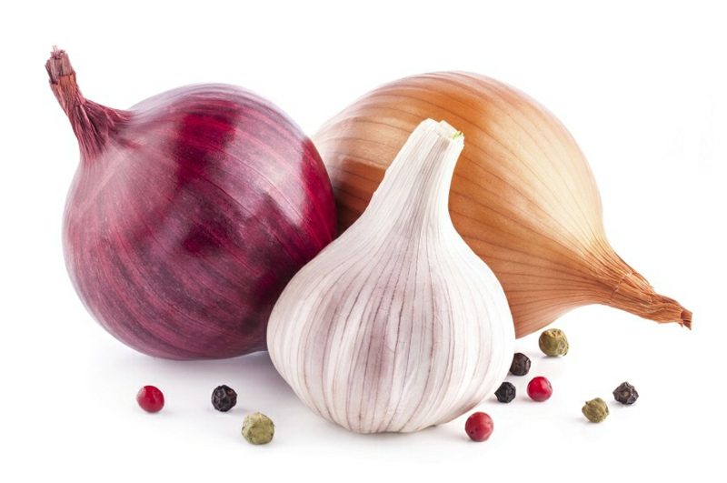antibiotiques naturels oignons 3 oignons antibiotiques naturels