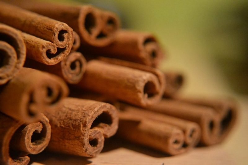 antibiotiques naturels bâtons de cannelle macro macro de cannelle d'antibiotiques naturels