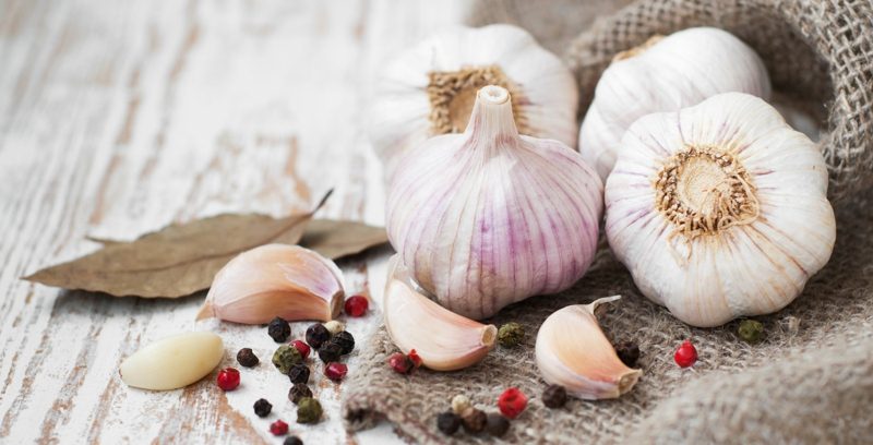 antibiotiques naturels ail effets étonnants antibiotiques naturels ail 4