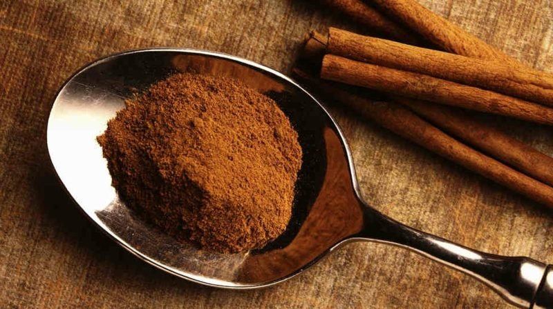 Bâtons et poudre de cannelle d'antibiotiques naturels antibiotiques naturels cannelle3