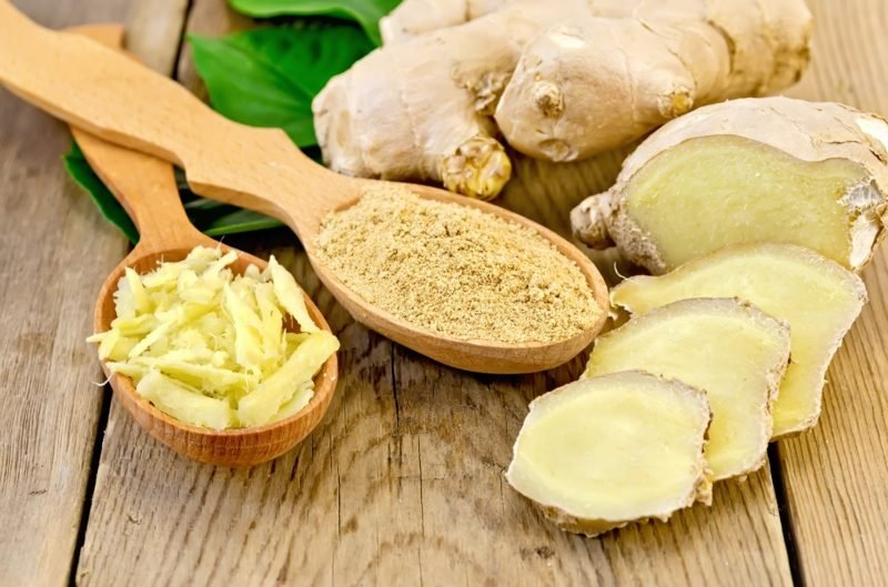 antibiotiques naturels gingembre antibiotiques naturels gingembre en poudre et râpé