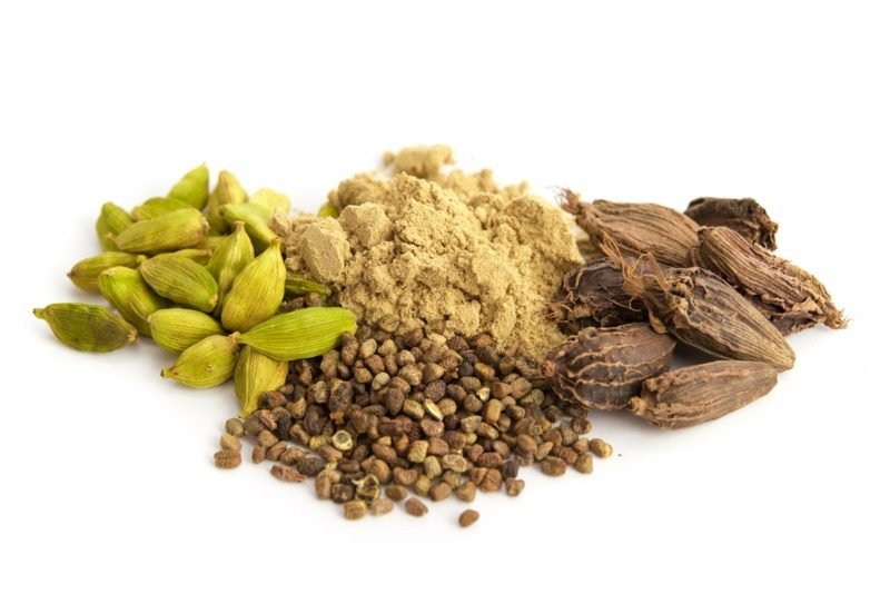 graines de cardamome antibiotiques naturels cardamome antibiotiques naturels