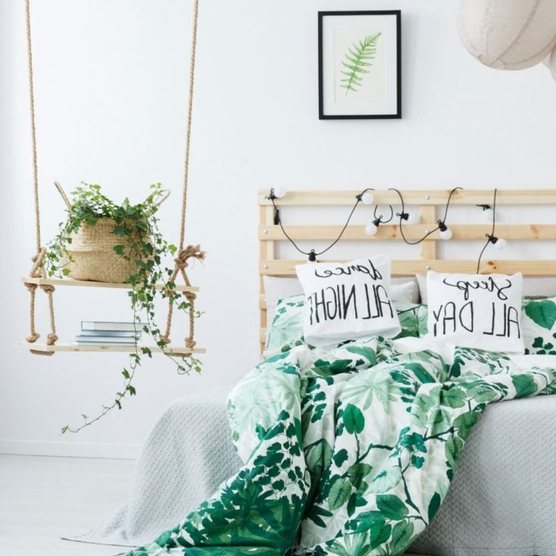 Les plantes choisissent des types adaptés à la chambre Disposez de manière créative les plantes dans la chambre pour un look magnifique