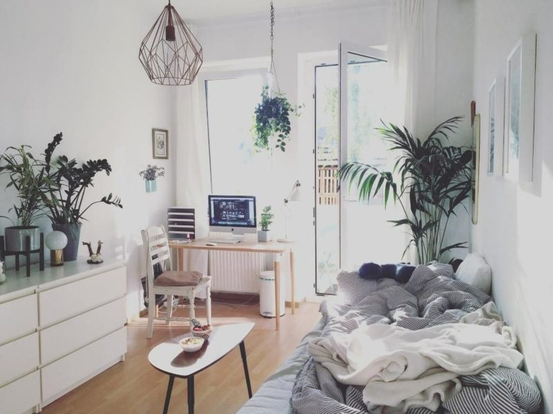 Quels types de plantes appartiennent à la chambre à coucher? Plantes dans la chambre ambiance cosy