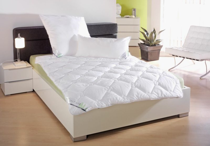 Avantages et inconvénients des plantes d'intérieur Plantes dans la chambre pour et contre