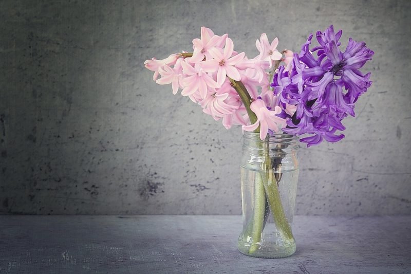 Les jacinthes sont également à éviter dans la chambre Plantes dans la chambre jacinthes inadaptées