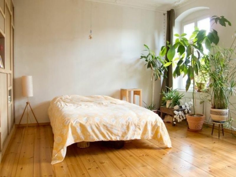 Les plantes dans la chambre créent une atmosphère animée Avantages et inconvénients des plantes dans la chambre