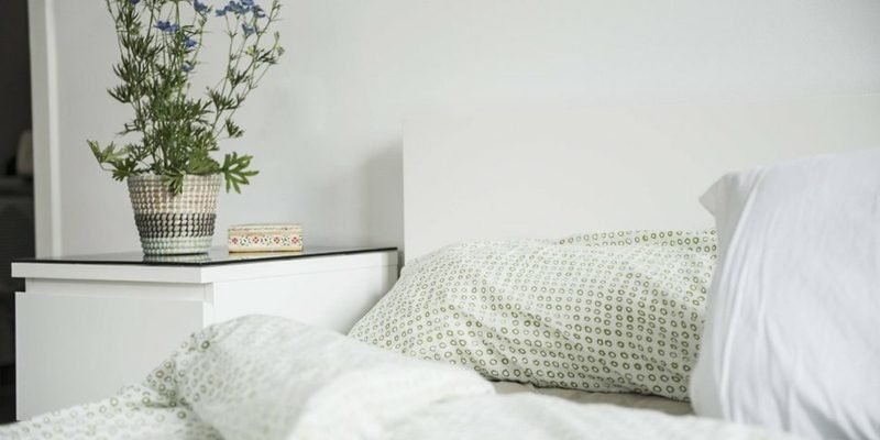 Les plantes d'intérieur sont un ajout important à l'intérieur Plantes dans la chambre dessert ambiance animée