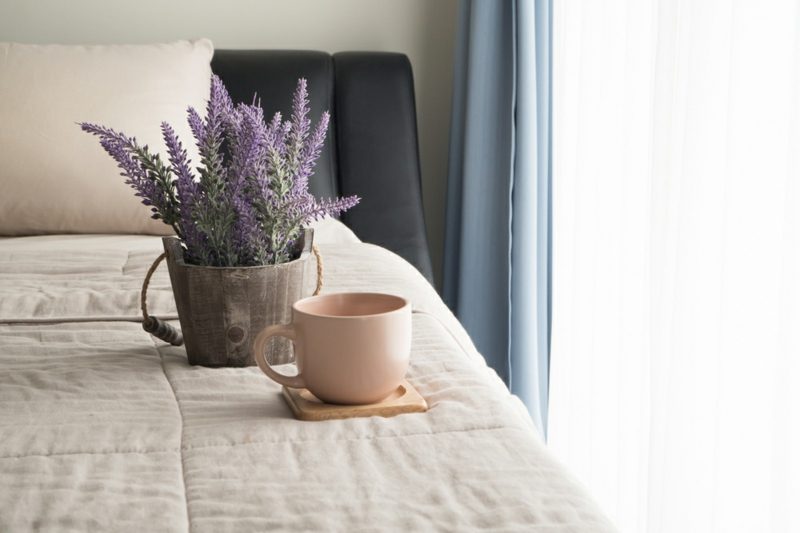 La lavande dans la chambre a un effet calmant Plantes dans la chambre lavande apaisante