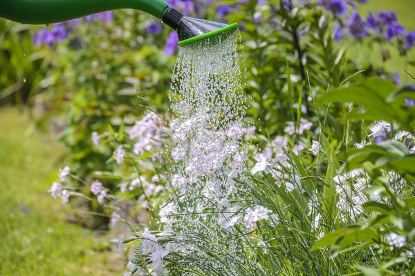 pravilno zalijevanje - vrtlarstvo ljeto vrtlarstvo ljetni savjeti za zalijevanje