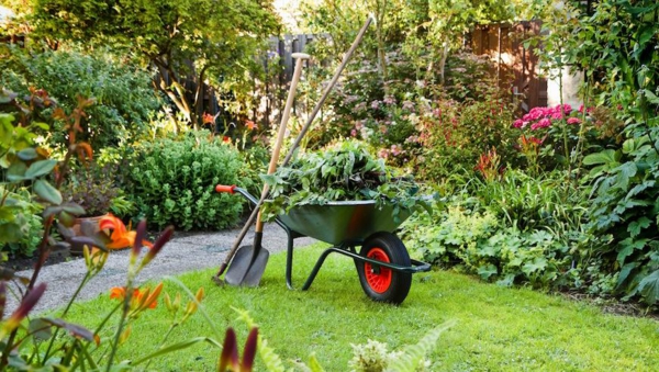 Savjeti za vrtlarstvo ljeti vrtlarski savjeti ljeto