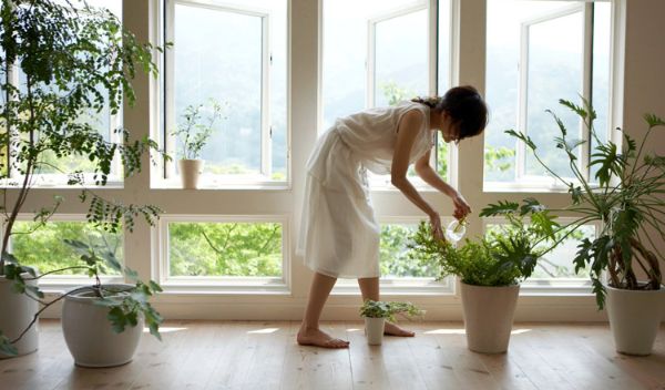 Frissítse a levegőt és erősítse az immunrendszert