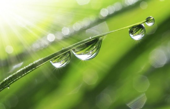 Dovresti bere acqua distillata o piuttosto erba naturale senza condensa