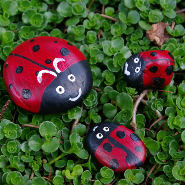 dipingere-sassi-come-coccinelle