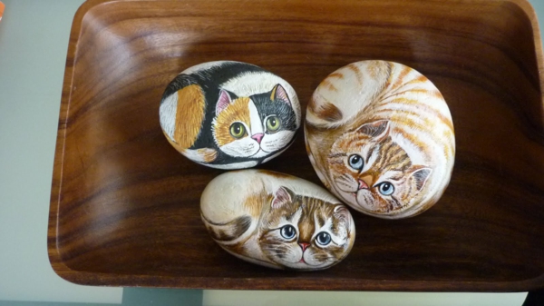 pittura-pietre-come-gatti