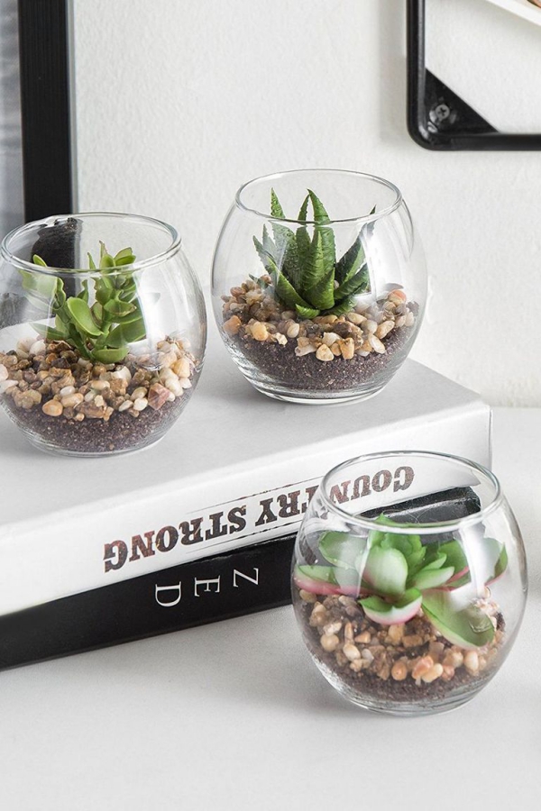 Postavite studentske sobe s prilično malim sukulentima Opremanje studentskih soba - savjeti i ideje za veću produktivnost malih sukulenata za male prostore