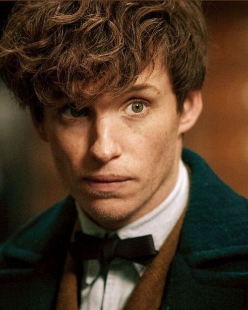coiffures pour hommes modernes mi-longues eddie redmayne