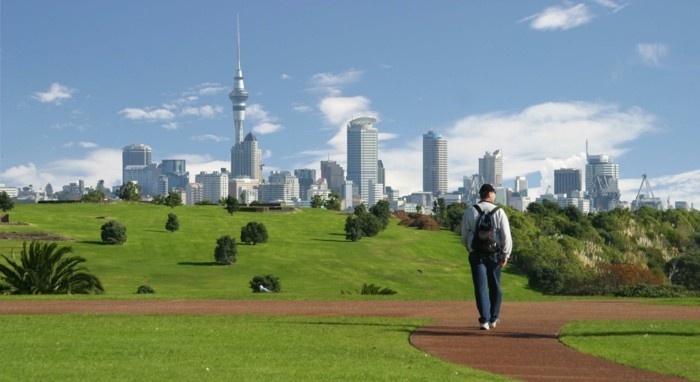 vue sur auckland