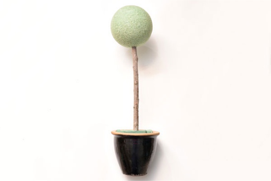 Topiary oogsten